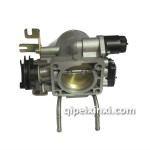 金杯閣瑞斯節(jié)向門閥體