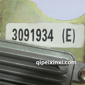 金杯阁瑞斯发动机ECU3091934E