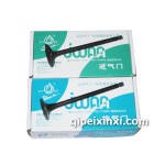 閣瑞斯進(jìn)氣門