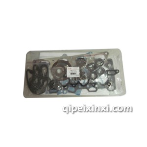 发动机大修包SMD973157RL 发动机大修包SMD973157RL