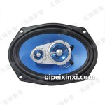 藍(lán)彩6X9音響喇叭