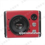 福萊特梯形低音炮8寸