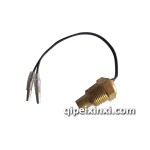 電子水溫感應(yīng)塞