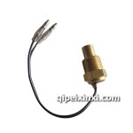 電子水溫感應(yīng)塞
