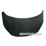 東風(fēng)雪鐵龍世嘉\凱旋機(jī)蓋