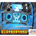 哈爾濱霸道蝶舞改裝案例