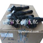 1111010-A12單體泵總成