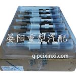 1112010-A11噴油器總成(2)