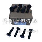 F04907209飛輪螺絲