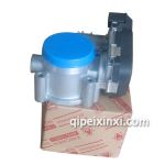 金杯海獅節(jié)氣門閥體