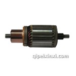 佩特來電樞總成