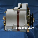 佩特來MDAC2161002電機(jī)