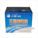 五菱之光原廠電瓶