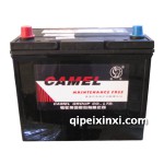 6-QW-60MF骆驼蓄电