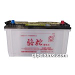 6-QW-105DF駱駝蓄電池/電瓶