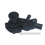 一汽哈輕小解放云內(nèi)490水泵