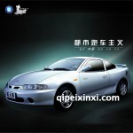 吉利美人豹一代全車配件