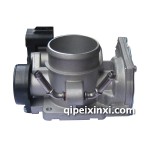 威志電子節(jié)氣門閥體