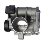 中華FSV電子節(jié)氣門閥體