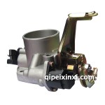 4G20節(jié)氣門(mén)閥體