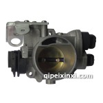 派利奧（歐二）節(jié)氣門閥體