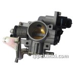 五菱之光（西门子系统）渝辉节气门阀体