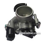 新樂(lè)風(fēng)1.4氣門閥體