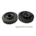 安奔主從動(dòng)齒