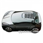 火狐貍S888電子狗