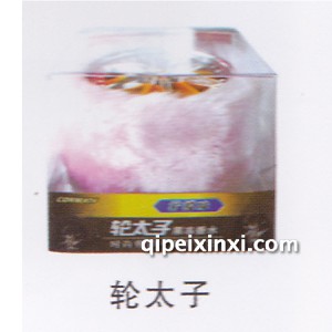 轮太子汽车香座 轮太子汽车香座