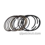開瑞活塞環(huán)總成