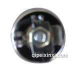 閣瑞斯點煙器總成