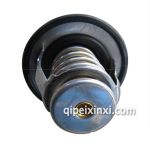 金杯閣瑞斯節(jié)溫器DK4