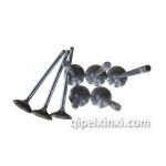 中華尊馳進氣門