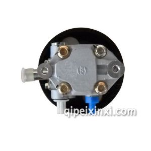 FRV动力转向泵 31-32