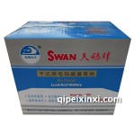 威旺306电瓶
