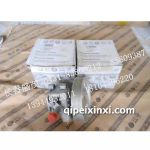 德国期货助力泵A4