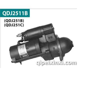 百信汽车电机 QDJ2511B