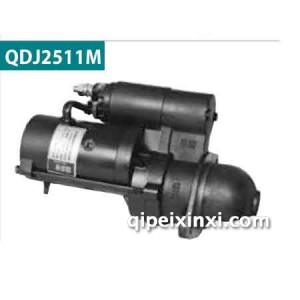 百信汽车电机 QDJ2511M 百信汽车电机 QDJ2511M