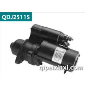 百信汽车电机 QDJ2511S 百信汽车电机 QDJ2511S