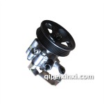 遠景轉(zhuǎn)向助力泵