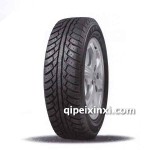 SW606冬季專用輪胎