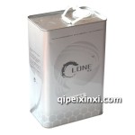 軻龍-2008清漆—汽車油漆