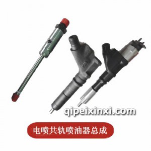 电喷共轨喷油器总成 电喷共轨喷油器总成