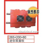 迷你雙面吹