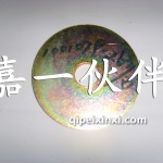 奧威后機爪墊墊片