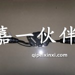 新大威D818/B組合開關(guān)總成-帶巡航
