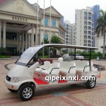 旅游觀光車電瓶