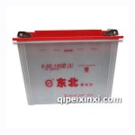 东北电动车电瓶6-DG-1