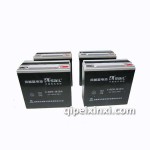 风帆6-DZM-20（胶体